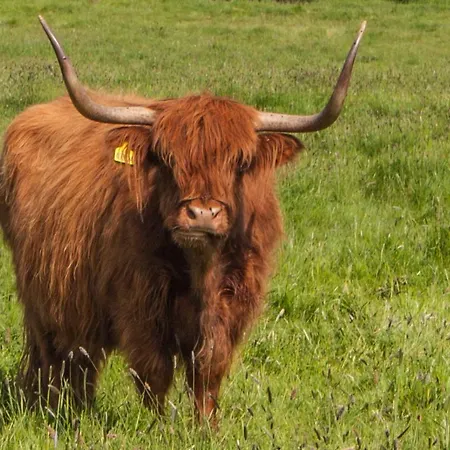 Дом отдыха High Oaks Grange -