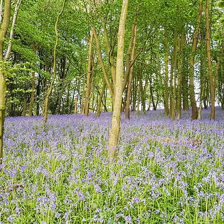 High Oaks Grange - Дом отдыха