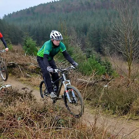 Дом отдыха High Oaks Grange - *